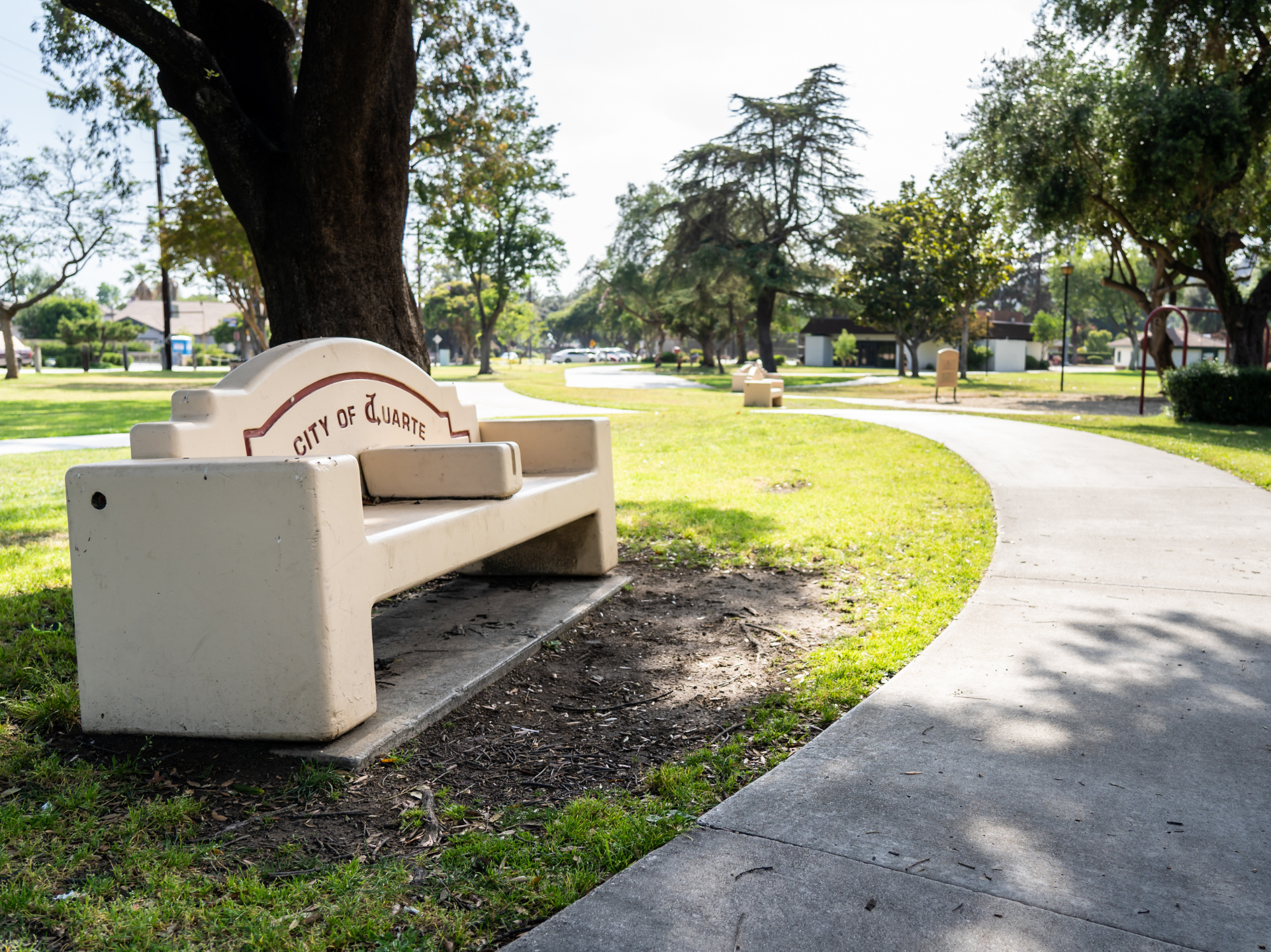 Royal Oaks Park Bench 2