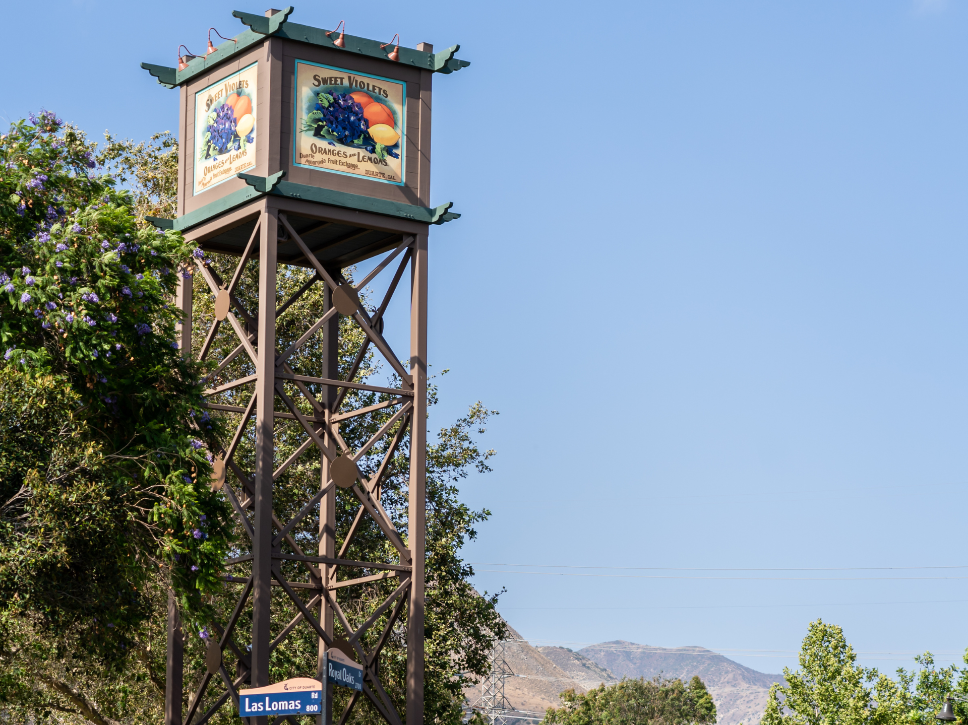 Royal Oaks Park Tower