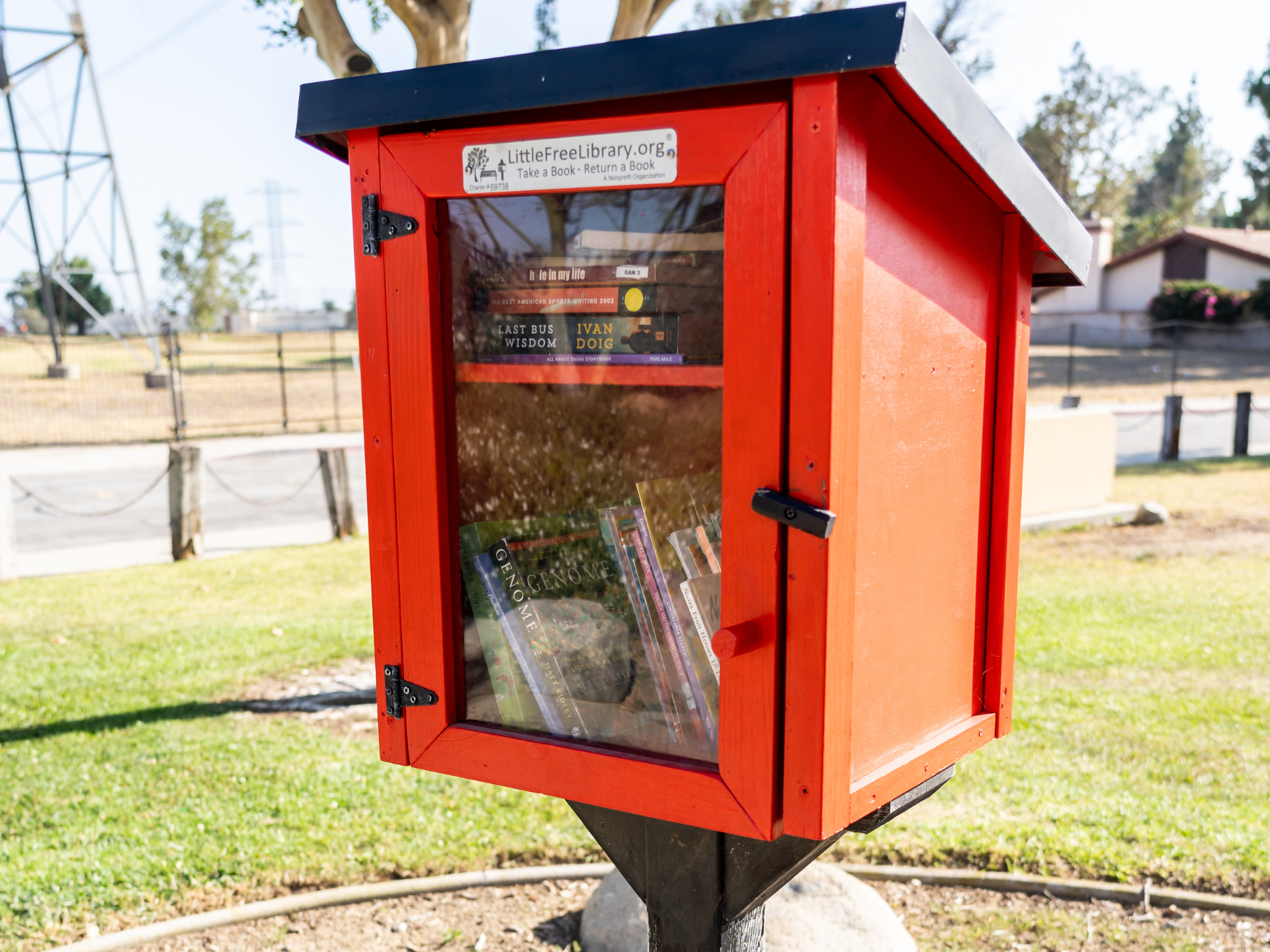 Little Free Library