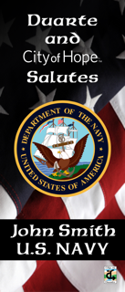 Navy vertical banner